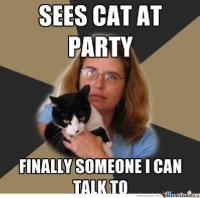 crazy-cat-lady-meme-idk-im-trying-for-it_o_624013.jpg