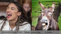 AOC_Looks_Like_A_Donkey__000000.png