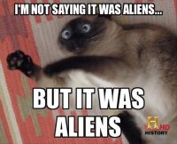 620955576-history-channel-aliens-funny-cat.jpg