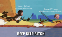 beep_beep_bitch.png