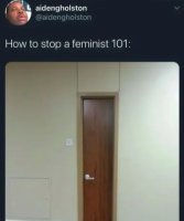 how_to_stop_a_feminist.jpg