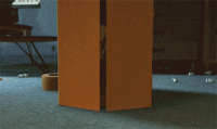 giphy (4).gif