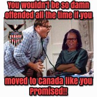 you-wouldnt-be-so-damn-offended-all-the-time-if-you-move-to-canada-whoopi-goldberg.jpg