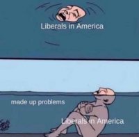 liberals-in-america-drowning-in-made-up-problems.jpg