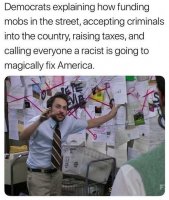 democrats-explaining-how-funding-mobs-accepting-criminals-into-country-calling-everyone-racist...jpg