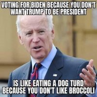 biden_vote_dog_turd.jpg