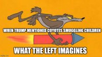 coyote.jpg