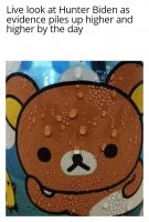 Sweating_Rilakkuma_24102020221418.jpg