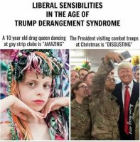 liberal-sensibilities-in-age-of-trump-derangement-sydrome-10-year-old-transger-vs-picture-with...jpg