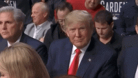 giphy - 2020-05-07T115659.991.gif