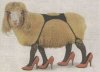 Sheep_In_Heels.jpg