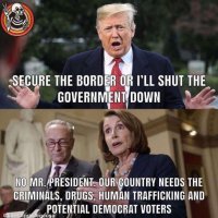 trump-secure-the-border-or-ill-shut-the-government-down-pelosi-schumer-no-we-need-criminals-dr...jpg