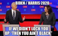 joe-biden-kamala-harris-if-we-didnt-lock-you-up-then-you-aint-black.jpg