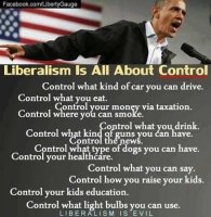 liberalism-is-all-about-control-think-eat-healthcare-say-education-bulbs.jpg