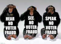 no_voter_fraud.jpg