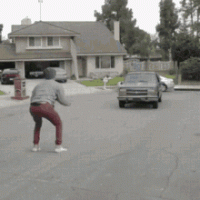 funny-gifs-cat-driving-jump-car.gif