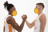 Vols with masks.jpg