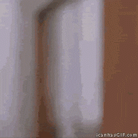 1610823289325.gif