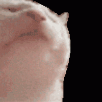 1610990887602.gif