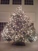 Christams Tree 1 2010.jpg