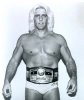 2010-07-21-RicFlair.jpg