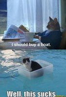 funny-cat-lolcat-bad-decision.jpg