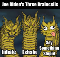 Bidens_Braincells.png