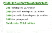 mueller cost.jpg