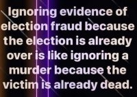 Election Fraud.jpg