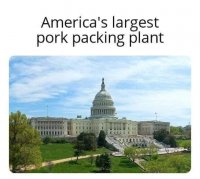 pork packing plant.jpeg