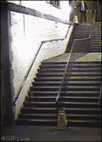 giphy (1).gif