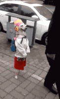 tumblr_ngloicdes51svecmko1_250.gif