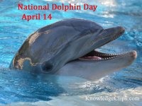 dolphin-day-1000.jpg