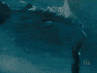 E51D09A8-01EA-4259-AC96-593E57082452.gif