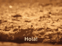 3E515717-C466-4D6B-85C9-A89B8A32757D.gif