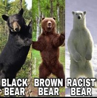 white bear racist.jpg