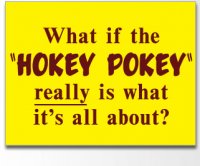 what-if-the-hokey-pokey-really-is-what-its-all-about.jpg