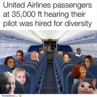 hired-for-diversity.jpg