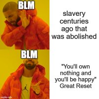 BLM_drake_meme.jpg