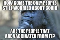 vaccinated worry covid.jpeg