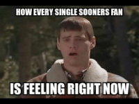 thumb_how-every-single-sooners-fan-s-feeling-right-now-texas-49562390.png