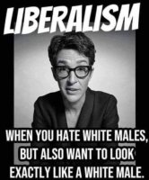 liberalism maddow.jpg