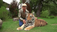 tiger-king-3.gif