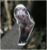 Black-Mamba-6.jpg