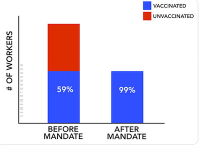 chart.png