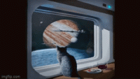 Space Cat.gif