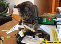 cat-vs-helicopter-fail.gif