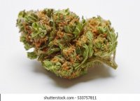 close-marijuana-nugget-on-white-260nw-533757811.jpg