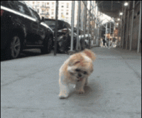 whats-up-gif-funny-7.gif