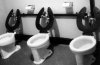 Lowry-Toilets-2s.jpg